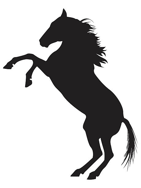 bildbanksillustrationer, clip art samt tecknat material och ikoner med silhouette of  a horse on a white background - horse skäck
