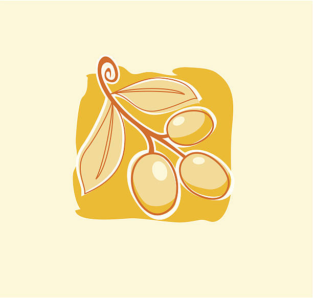 Olives vector art illustration