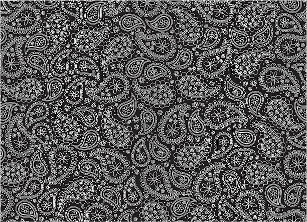 ilustrações de stock, clip art, desenhos animados e ícones de vector preto e branco paisley - paisley