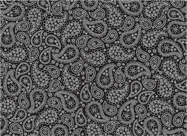 Vector illustration of Black and white paisley vector