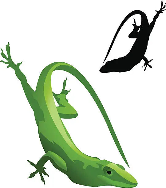 Vector illustration of Green Lizard and Silhouette