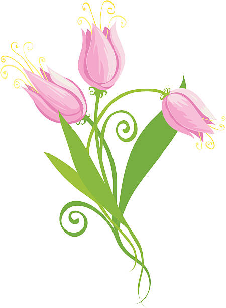 Flowers: Lilac vector art illustration