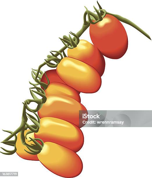 Kleine Tomaten Auf Die Vine Street Ab Stock Vektor Art und mehr Bilder von Frische - Frische, Gemüse, Illustration