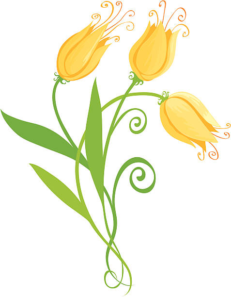 Flowers: Yellow vector art illustration