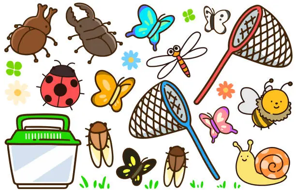 Vector illustration of Set of various insects and butterfly nets