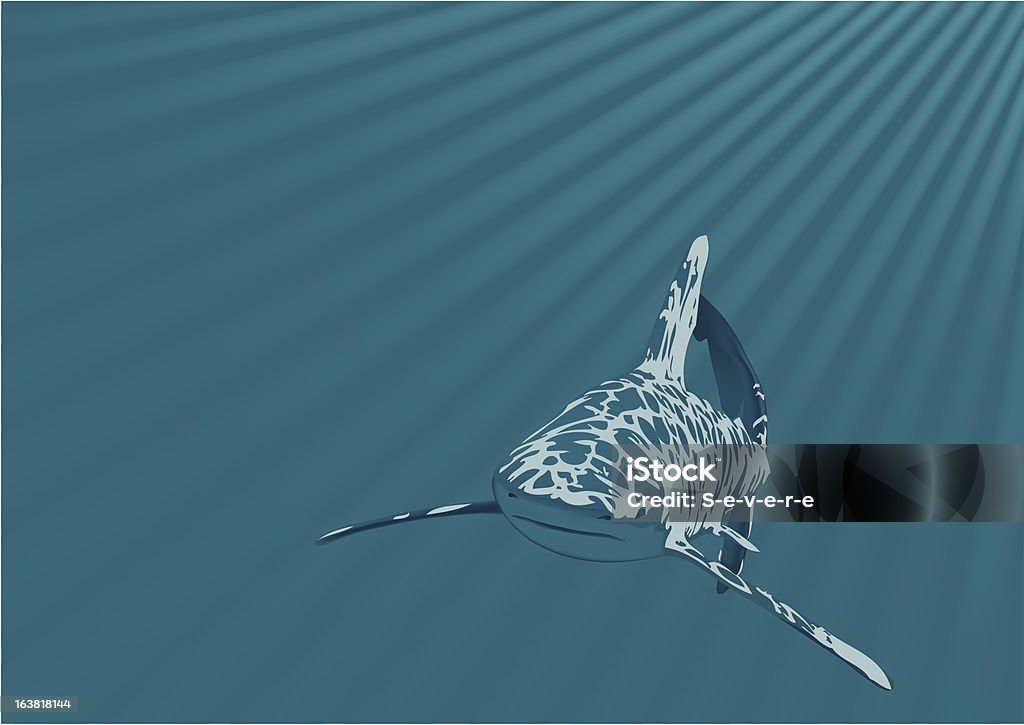 Tiburón en un mar - arte vectorial de Agresión libre de derechos