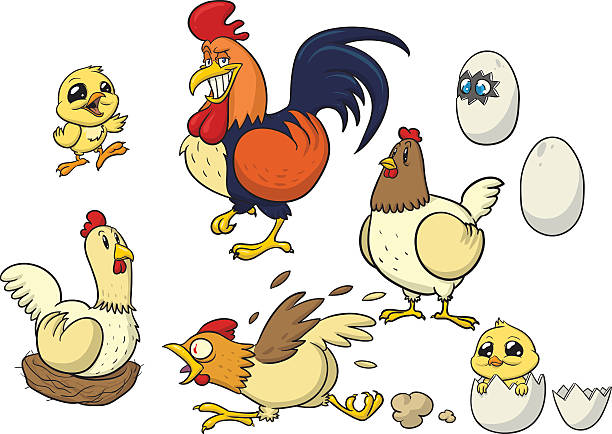 Cartoons of chickens, chicks, eggs and rooster Cartoon farm chicken. All elements are on separate layers. scared chicken cartoon stock illustrations