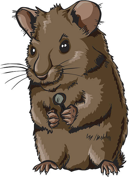 Lab Rats Drawing 180+ Lab Rats Illustrations Stock Illustrations, Royalty-Free Vector ...