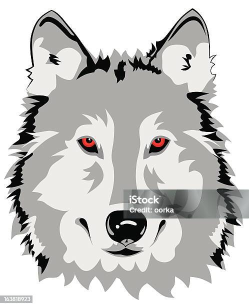 Wolf - Immagini vettoriali stock e altre immagini di Animale - Animale, Cane, Contorno - Forma