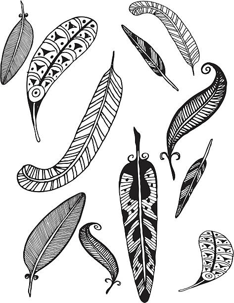 Feathers vector art illustration