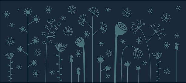 Dried flowers and snowflakes border vector art illustration