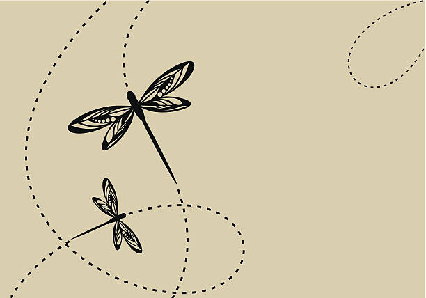 dragonflys - dragonfly stock illustrations