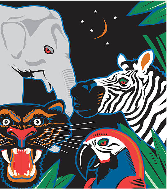 Jungle Animals vector art illustration
