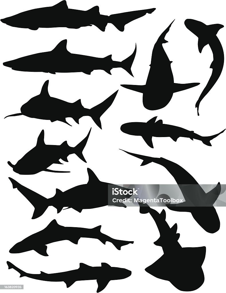Silhuetas de Tubarão - Royalty-free Tubarão arte vetorial