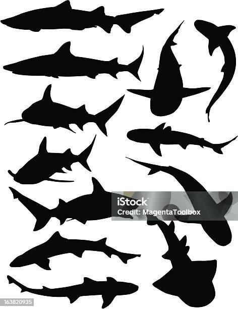 Silhuetas De Tubarão - Arte vetorial de stock e mais imagens de Tubarão - Tubarão, Silhueta, Vetor