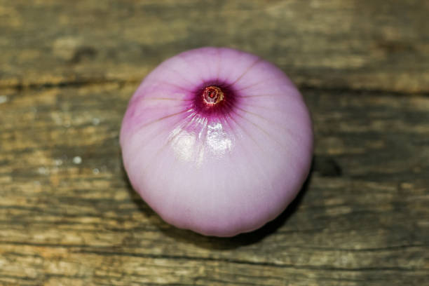 Onions put on old wood with concept closeup style.top view of onions.