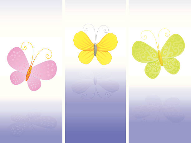 Butterflies II vector art illustration