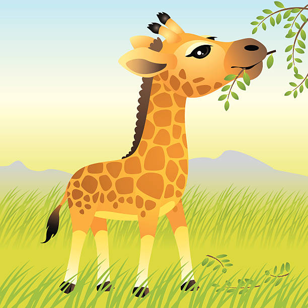 230+ Giraffe Eating Stock Illustrations, Royalty-Free Vector Graphics