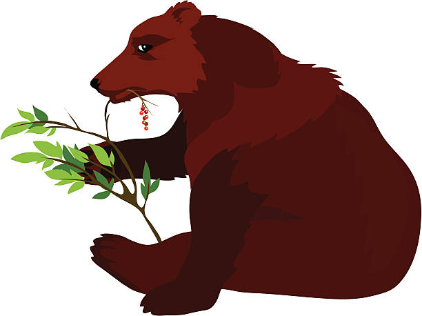 Bекторная иллюстрация Мед�ведь ест ягоды
