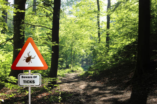 istock Tick insect warning sign . Lyme disease and tick-borne meningitis (meningoencephalitis) transmitter 1638217652
