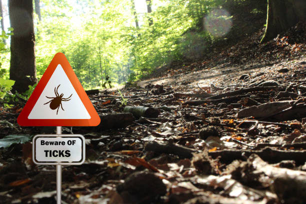 istock Tick insect warning sign . Lyme disease and tick-borne meningitis (meningoencephalitis) transmitter 1638218100
