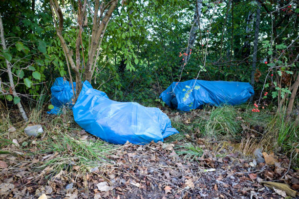 istock illegally disposed blue bin bags in landscape 1638218651