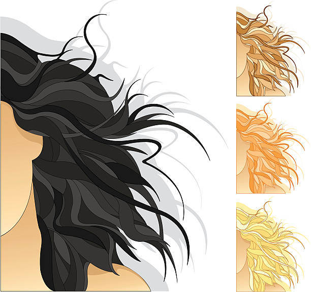 1,400+ Long Black Hair Stock Illustrations, Royalty-Free Vector