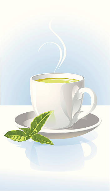 чашка зеленого чая - green tea tea scented mint stock illustrations