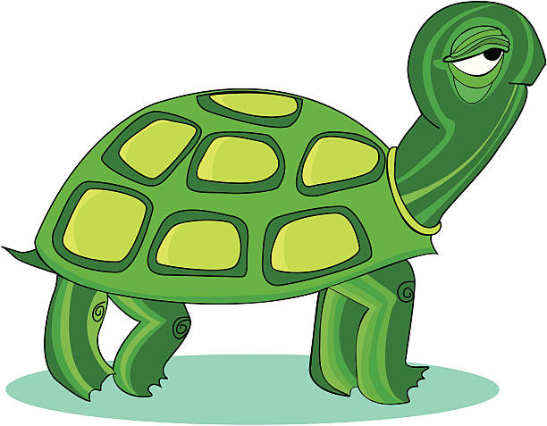 Tartaruga marinha verde - ilustração de arte em vetor