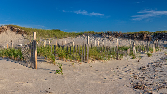 Beach dune fences in late afternoon