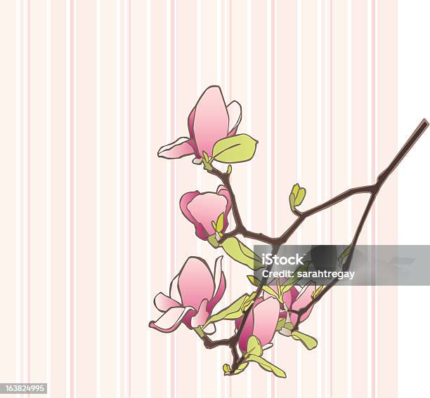 Magnolia Branch Auf Gestreiftem Hintergrund Stock Vektor Art und mehr Bilder von Ast - Pflanzenbestandteil - Ast - Pflanzenbestandteil, Baumblüte, Bildhintergrund