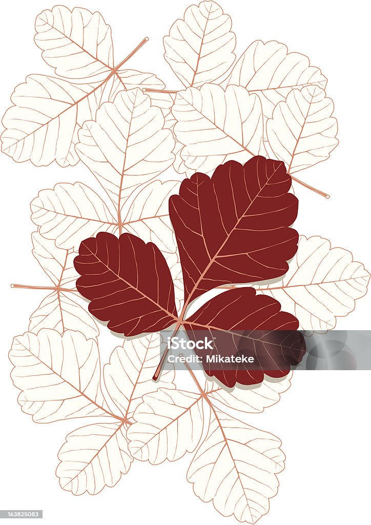 leaf2 - arte vectorial de Botánica libre de derechos