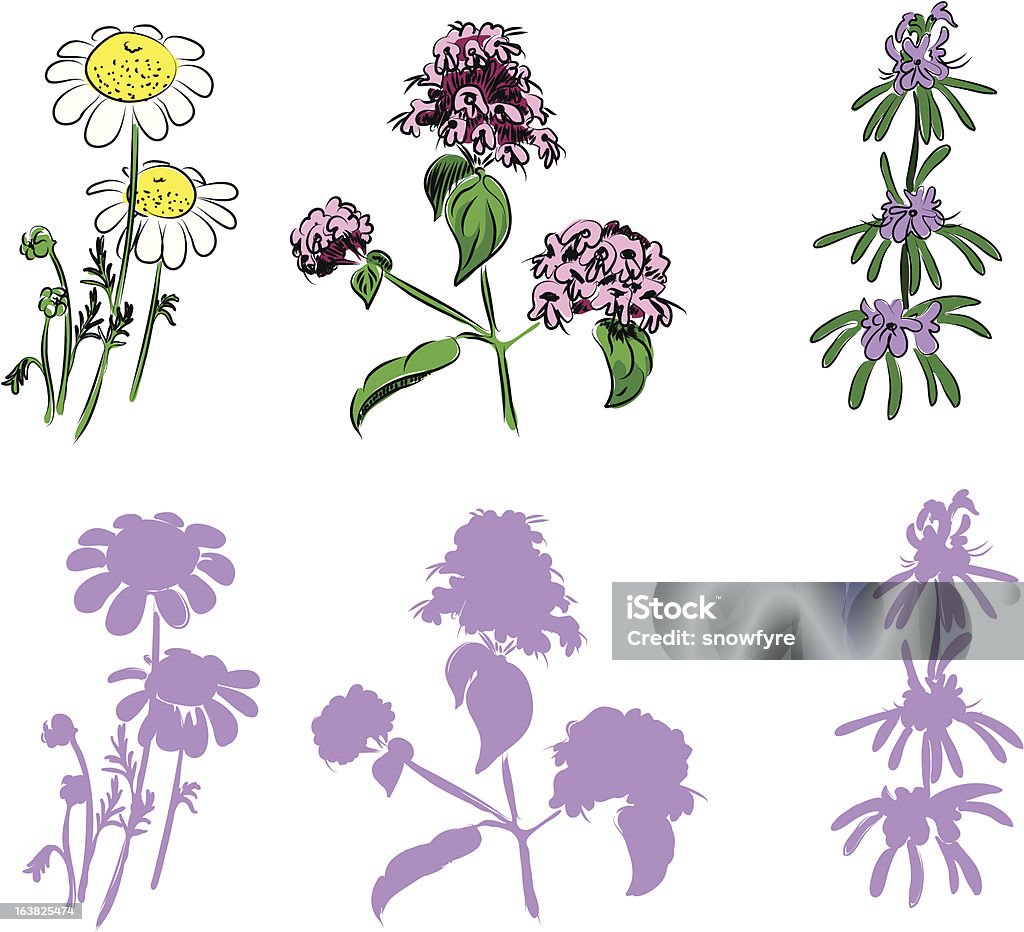 Main tirées des plantes - clipart vectoriel de Beauté libre de droits