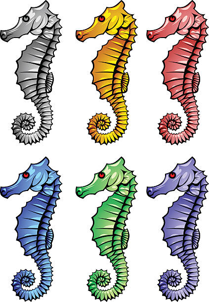 seahorse vector art illustration
