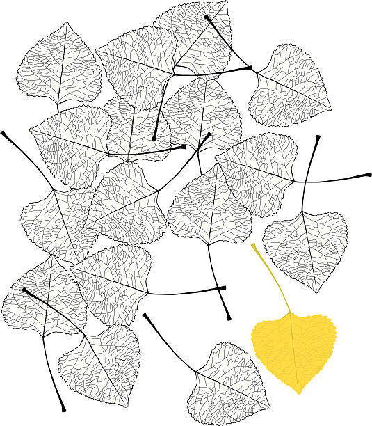 leaf1 - ilustração de arte em vetor