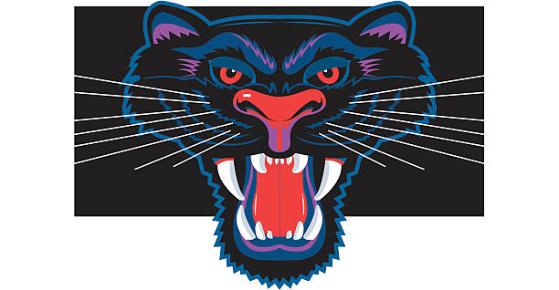 Panther vector art illustration