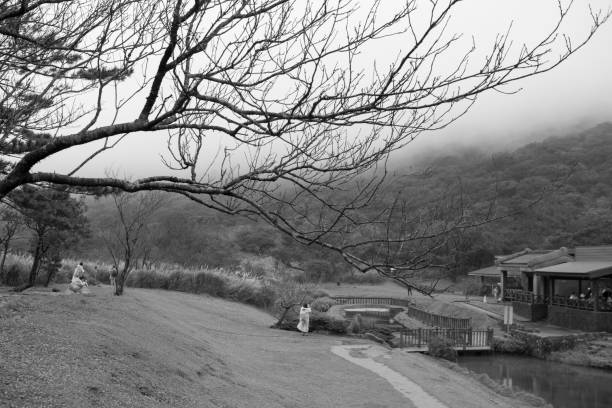 Erziping, a famous scenic spot in the suburbs of Taipei, Taiwan, Yangmingshan