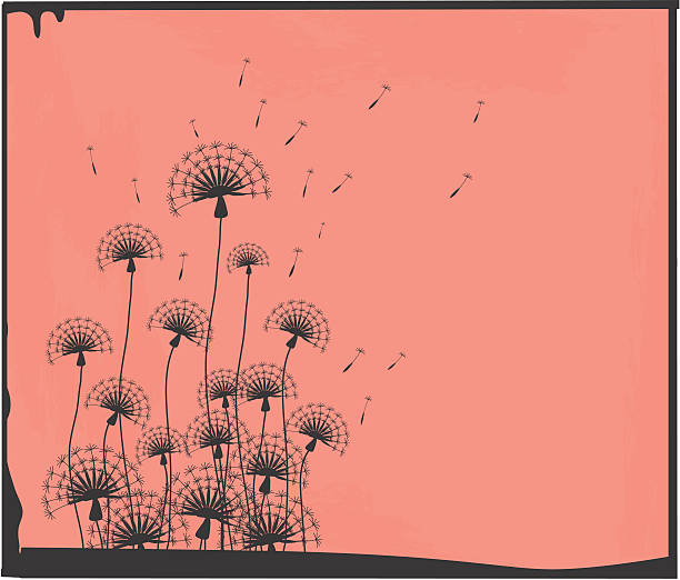 Dandelion silhouettes on a grunge background. vector art illustration