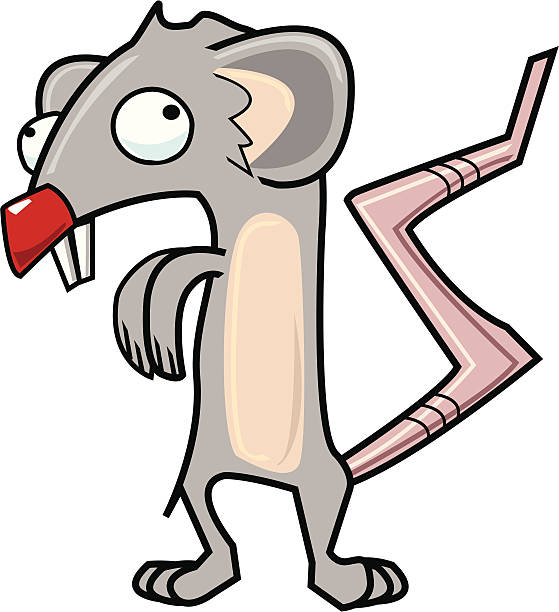 lab rat vector art illustration