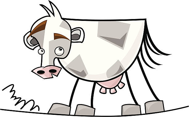 cow vector art illustration