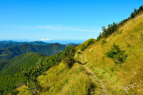 istock antola mountain liguria italy 1638268793