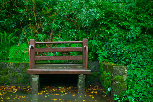 Public chairs in the rest area next to the Yangmingshan Forest Trail in Taipei
