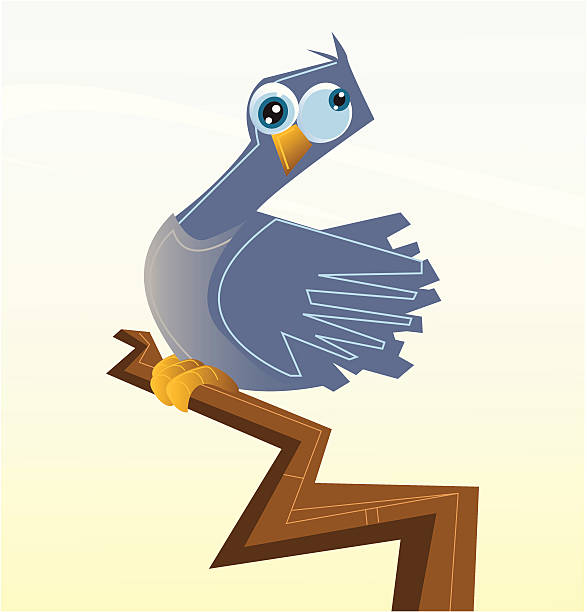 pigeon vector art illustration