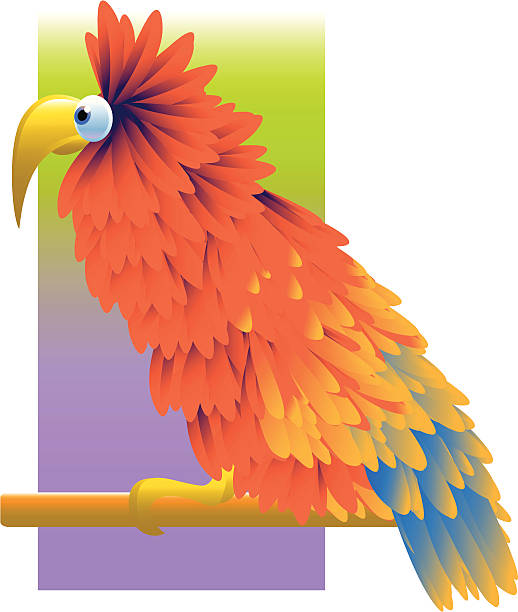 papuga – artystyczna grafika wektorowa