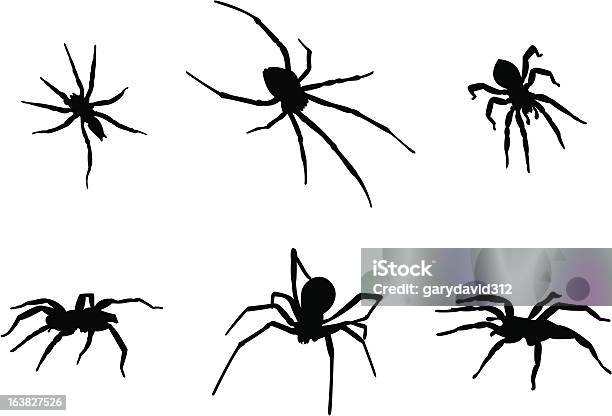 クモのシルエット - クロゴケグモのベクターアート素材や画像を多数ご用意 - クロゴケグモ, イラストレーション, クモ