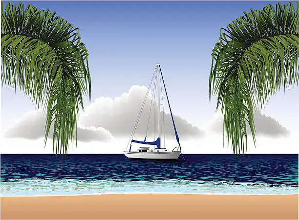 Vector illustration of South Pacific