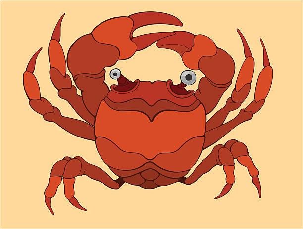 red crab vector art illustration