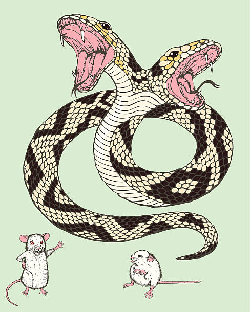 110+ Brave Mouse Stock Illustrations, Royalty-Free Vector Graphics