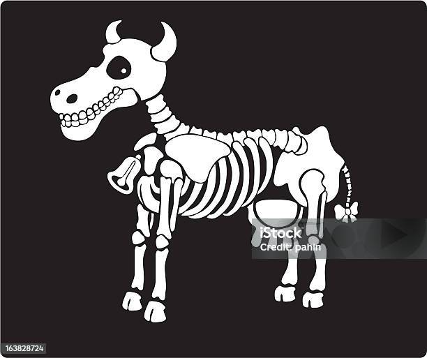 Ilustración de Vacas Röntgen y más Vectores Libres de Derechos de Ganado domesticado - Ganado domesticado, Esqueleto de animal, Cráneo de animal