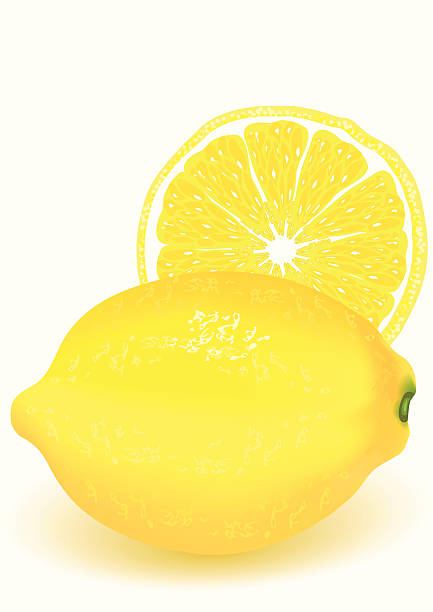 Lemon vector art illustration